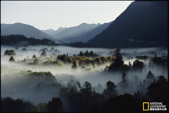 奧林匹克國家公園，華盛頓州攝影：Sam Abell，國家地理創(chuàng)意版
