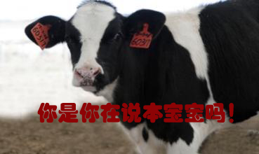 關(guān)我什么事！