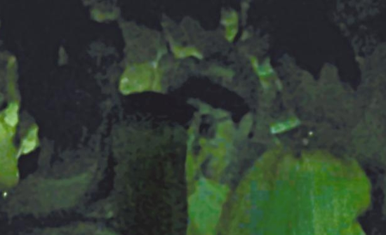 房祖名去年被港媒直擊在中環(huán)夜店與長(zhǎng)發(fā)妞互動(dòng)曖昧，女生正是Nana