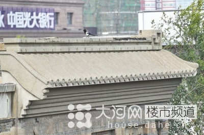 鄭州花園路“飛機(jī)樓”也要拆？去留引發(fā)關(guān)注
