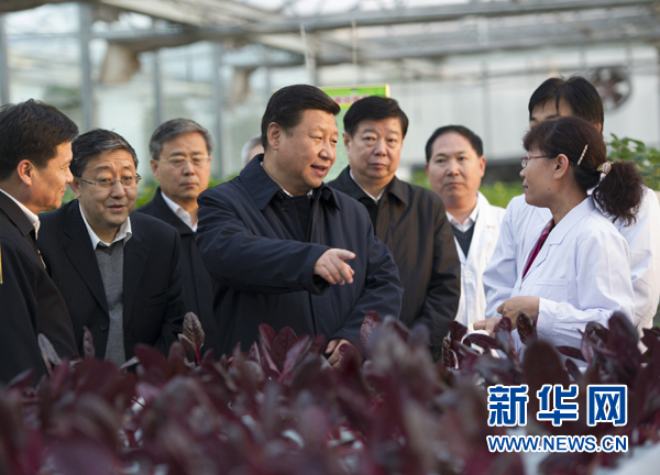  27日下午，習近平在山東省農(nóng)業(yè)科學院智能化溫室了解農(nóng)業(yè)科技創(chuàng)新情況。