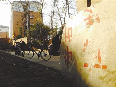 昨日，“上海奇石盆景博物館”原址上，已矗立起小區(qū)樓盤，而刻著博物館名的巨石，廢棄在一旁。本版圖片/新京報記者 張永生 攝