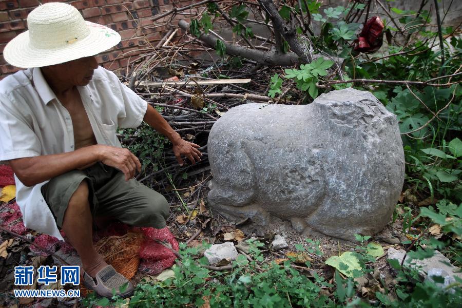 朝陽鎮(zhèn)后李村業(yè)余文保隊員，今年65歲的李連堂在上世紀平整土地時候，從地里挖出一個石羊殘身，至今仍放在