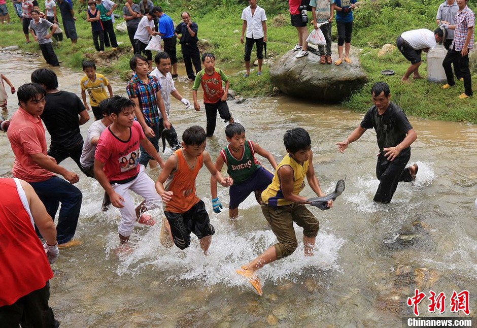 7月9日，村民在小河里摸魚搶魚。譚凱興 攝