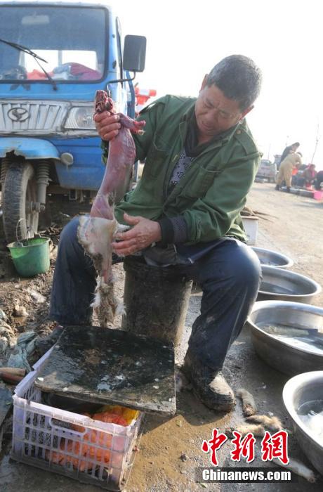 圖為12月1日，104國道靜?？h城附近，顧客挑好后，商販拎著死兔將皮完整地扒下來。田寶希 攝 圖片來