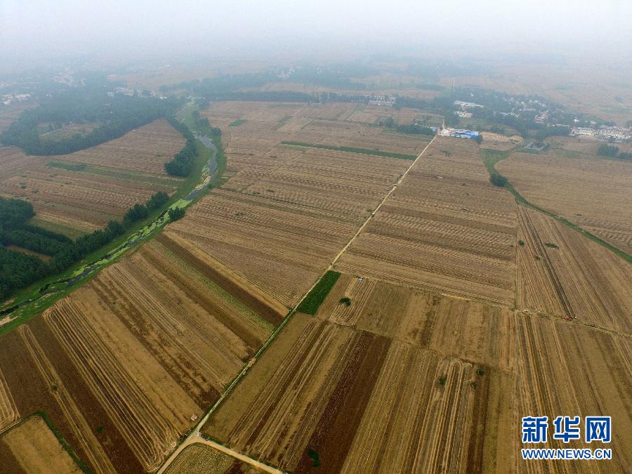 這是5月28日在河南省南陽市唐河縣甘河灣村航拍的麥收現(xiàn)場。
