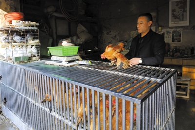 南京另一家農(nóng)貿(mào)市場內(nèi)待售的活雞。因南京出現(xiàn)H7N9禽流病例，買活雞的顧客減少。