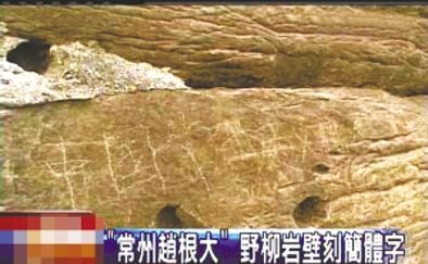 “常州趙根大” 2009年3月27日，臺(tái)灣北海岸野柳地質(zhì)公園巖壁上被刻下“中國(guó)常州趙根大”字樣。臺(tái)灣媒體將此事報(bào)道后，趙根大公開(kāi)道歉。