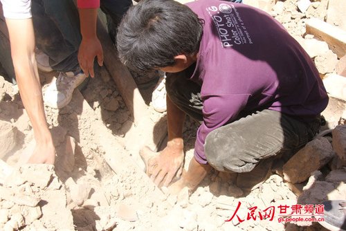 小黃狗露出了鼻子。王生元/攝