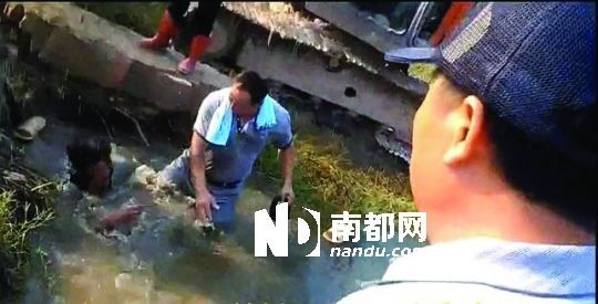 男子沒入水塘后試圖反抗，遭戴黑帽男子毆打。視頻截圖