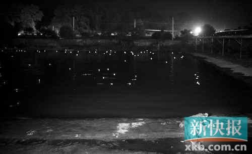 昨日，西湖村鱷魚養(yǎng)殖場已修復(fù)圍欄。