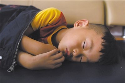 9月6日，等待錄制節(jié)目的多多躺在沙發(fā)上熟睡。新京報(bào)記者 侯少卿 攝