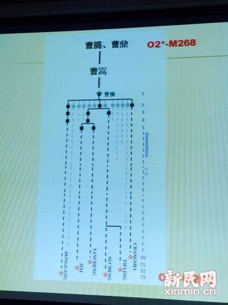 圖說：復旦課題組發(fā)布曹操家族DNA研究結果。新民網(wǎng) 記者 李欣 攝