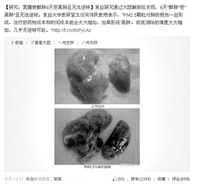 昨天，一則“霧霾使鮮肺6天變黑肺”的新聞在網(wǎng)上引發(fā)熱議。網(wǎng)絡(luò)截圖