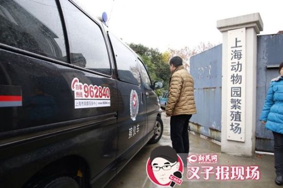 殯葬車(chē)到達(dá)現(xiàn)場(chǎng)。新民網(wǎng) 記者 蕭君瑋 攝