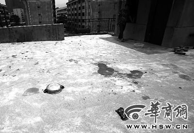 藏獒就養(yǎng)在這個樓頂，孩子從欄桿處墜落 本報記者 趙航 攝