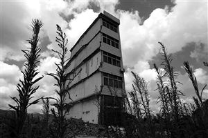 這幢5層的“片片樓”周圍已是一片拆遷后的廢墟，左邊的一堵墻上，不少鋼筋裸露在外面 圖片來源：新華網(wǎng)