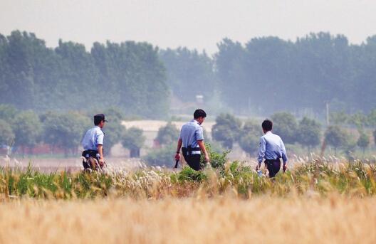 昨日上午，合肥長豐縣雙墩鎮(zhèn)，民警分成小隊(duì)在案發(fā)村莊附近麥田搜捕嫌犯。記者劉玉才/攝
