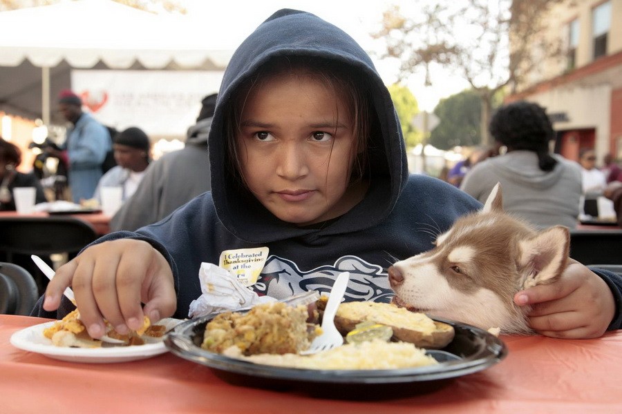 11月21日，加州洛杉磯的游民巷，12歲的堂娜·赫南德茲抱著愛犬“湯米”，安靜地吃著免費的感恩節(jié)飯菜
