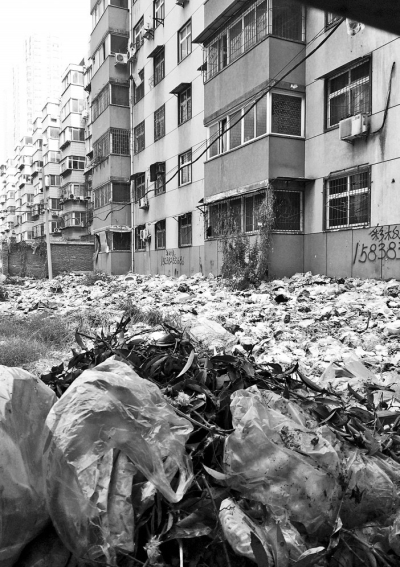 透過擋板縫向內看，30多米垃圾已經將居民樓包圍。