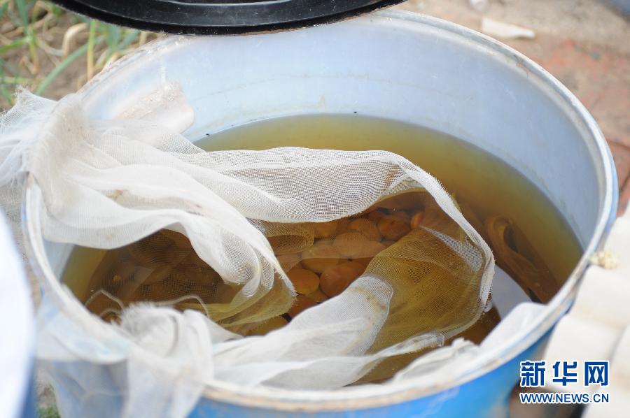 地下水成“綠茶”　污染二十多年該誰治？