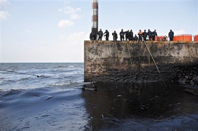 昨日，山東青島，清污人員正在海邊清理油污。