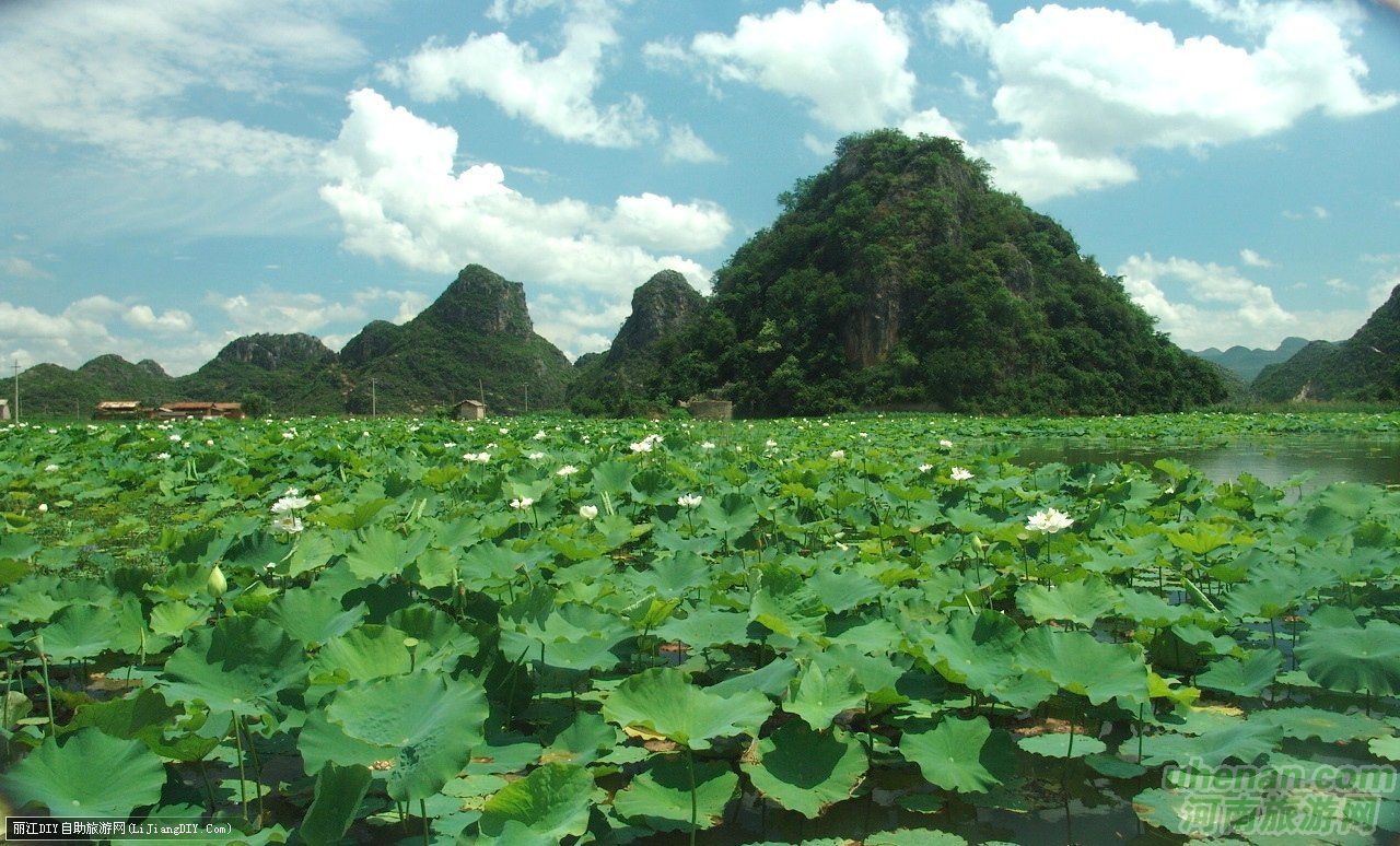 爸爸去哪兒？親密接觸荷花仙子