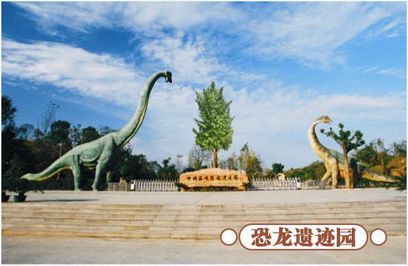 圣誕去哪兒？省內(nèi)歡樂(lè)地推薦