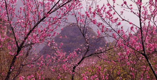 撿垃圾換玫瑰 女人節(jié) 愛在神農(nóng)山！