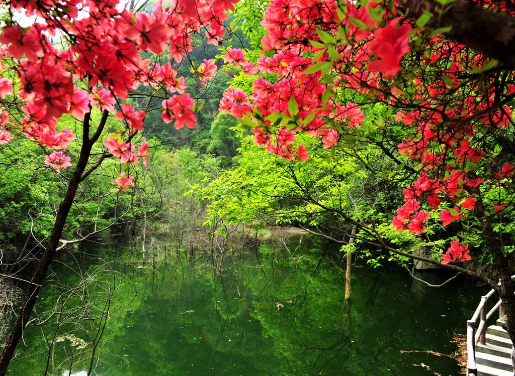 母親節(jié)河南景區(qū)優(yōu)惠大波來襲！