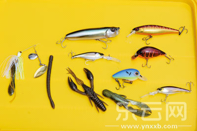 　　又稱擬餌釣魚,起源于歐洲,國內(nèi)翻譯為“路亞”。