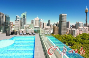 酒店屋頂游泳池俯瞰公園美景。