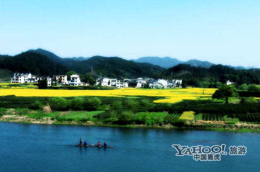　　婺源號(hào)稱是中國(guó)最美麗的鄉(xiāng)村,她最美麗的季節(jié)是三月中下旬。(圖片來源:CFP)