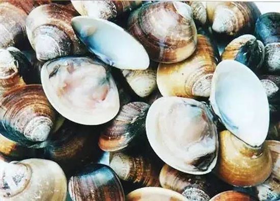 秋季最適合吃的海鮮是這10種 你吃對(duì)了嗎？