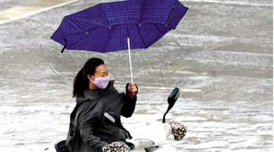 昨日下午，隴海路上，雨中風(fēng)大，一位女士的傘被吹翻了。
