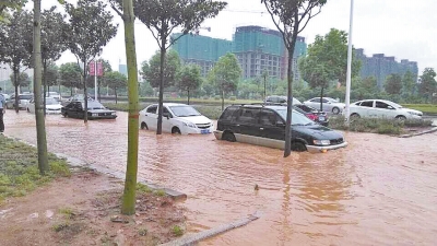昨日，信陽突降暴雨，路面積水已淹沒輪胎。首席記者 何正權(quán) 通訊員 楊小燕 攝影