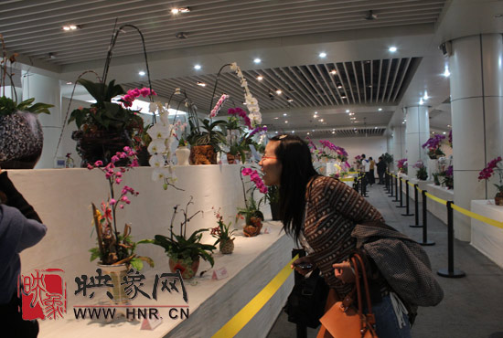 “溫馨九九重陽(yáng)節(jié) 陪著父母去游園”活動(dòng)圓滿(mǎn)舉行