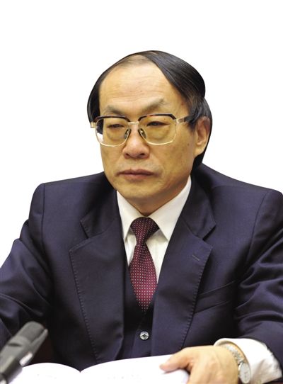 劉志軍（資料圖片）。新華社發(fā)