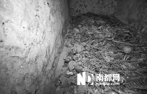 　5月29日，在以色列特拉維夫市雅法地區(qū)，一處集體墳?zāi)贡话l(fā)現(xiàn)。