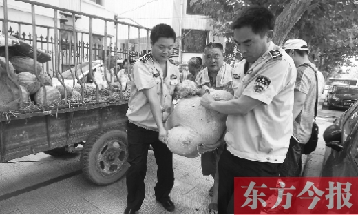 昨日，鄭州金水區(qū)執(zhí)法局的執(zhí)法隊(duì)員捐錢買瓜，替瓜農(nóng)解憂