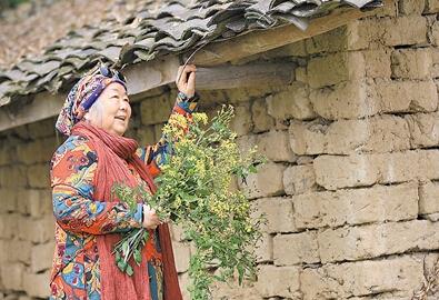 公式“時(shí)尚奶奶”的賞花照，收獲了好多人的點(diǎn)贊。 受訪者供圖