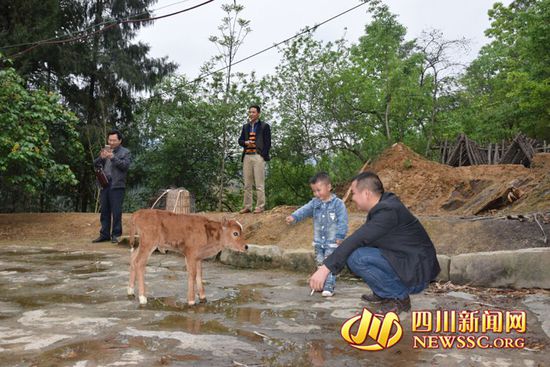 村里人知道后，前來(lái)看熱鬧