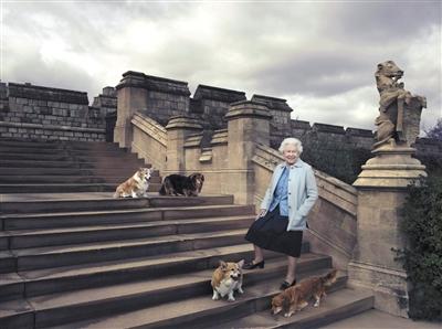英國(guó)女王與她的愛犬。