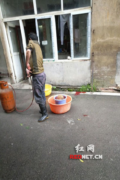 5月8日，男子在校園里殺狗，地上殘留一塊血跡。目擊者供圖。