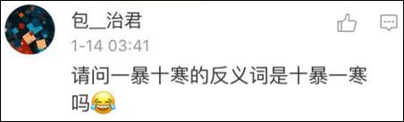 鶴立雞群？雞立鶴群！