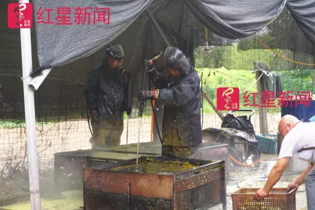 文玩核桃遇冷由幾萬(wàn)一對(duì)降到5元沒(méi)人要？商戶否認(rèn)