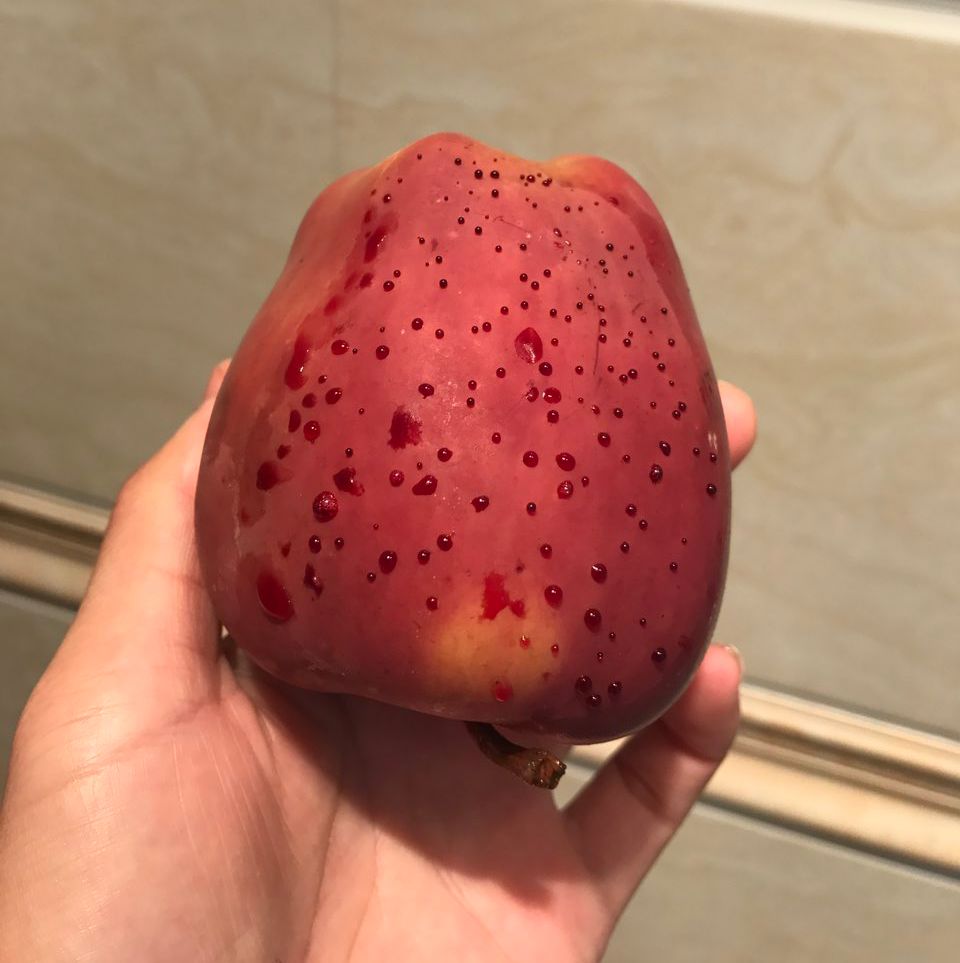 嚇懵！女子用熱水泡蘋果結(jié)果冒出血珠 咋回事？