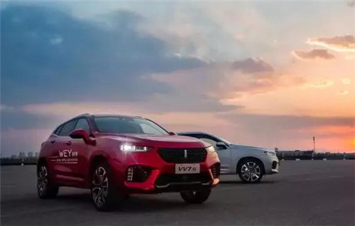 去年“蹦”出來的新汽車品牌們，現(xiàn)在活得怎么樣了？