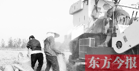 李正厚的妻子鮑本華（右）和一位村民拎著麻袋來(lái)到收割機(jī)前，接住傾倒出來(lái)的麥粒