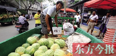 因為夜里睡太沉，來鄭州賣瓜的開封瓜農姚老漢不但丟錢還丟瓜